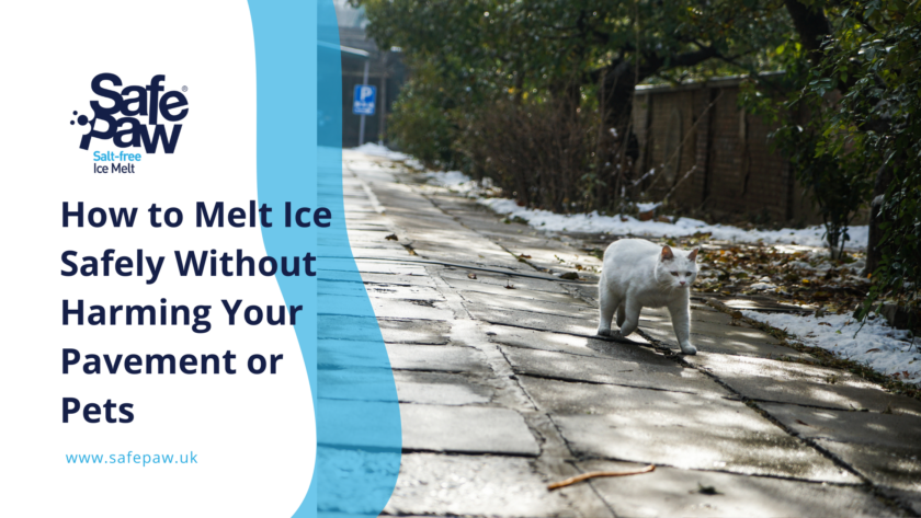 Eco-friendly ice melt protecting pavement and plants