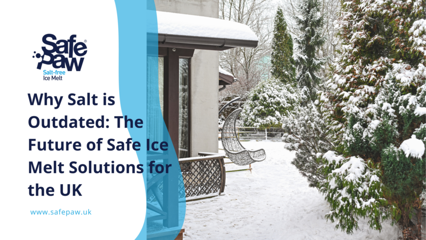 Non-toxic ice melt ensuring pet safety during winter