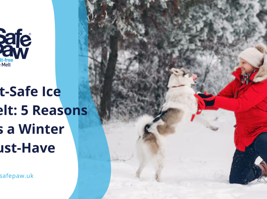 5 Essential Reasons to Choose a Pet Safe Ice Melt This Winter