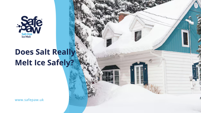 Does Salt Really Melt Ice Safely_ What Every Homeowner Should Know