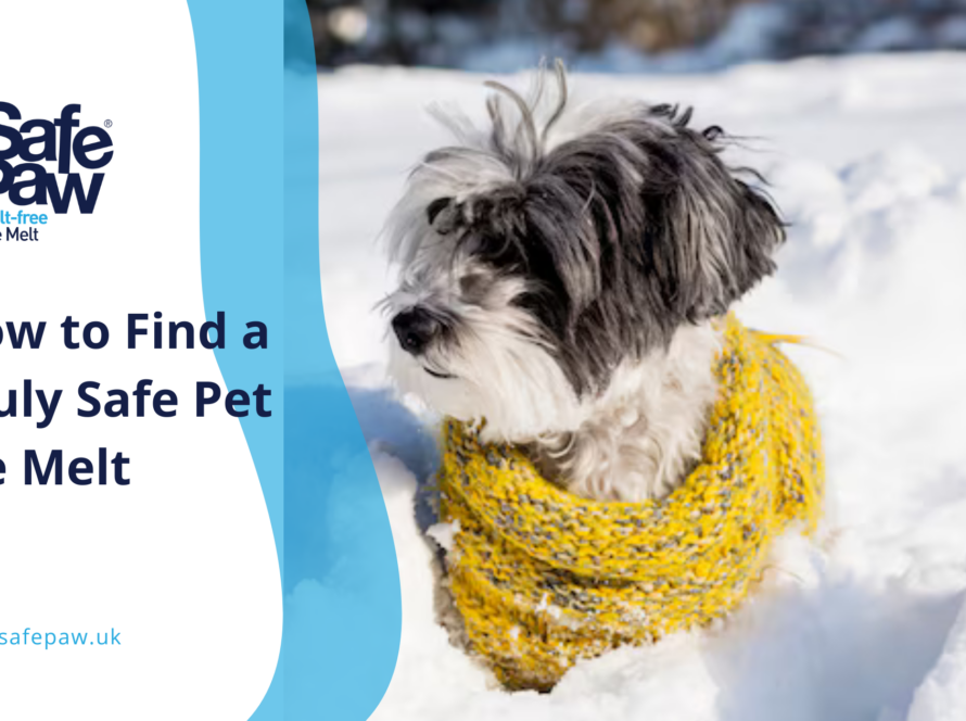 How to Find a Truly Safe Pet Ice Melt (and What to Avoid)