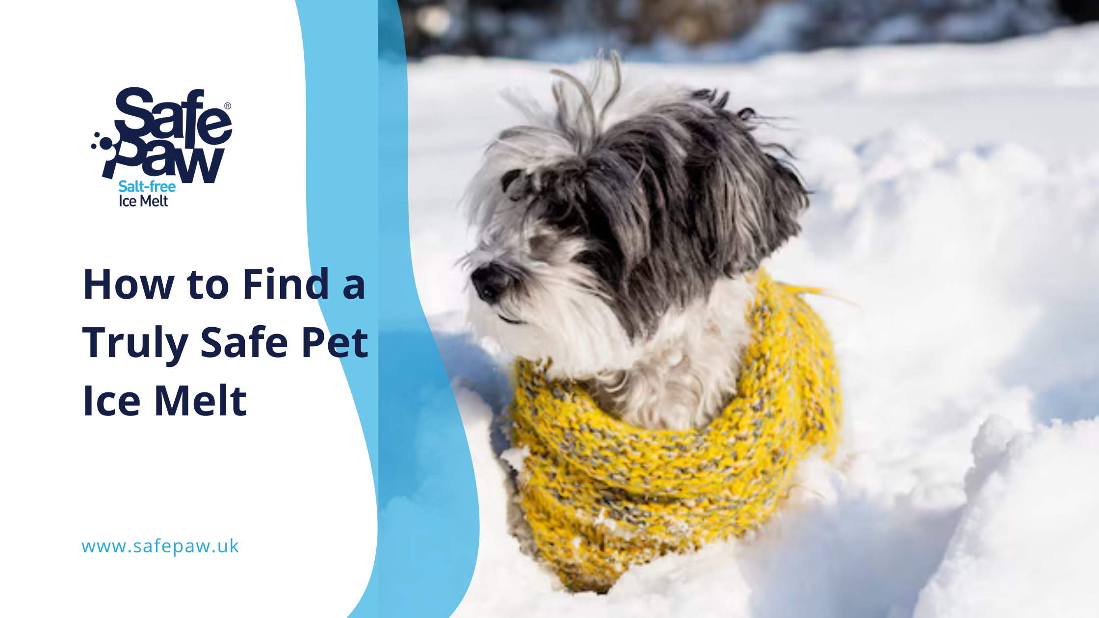 How to Find a Truly Safe Pet Ice Melt (and What to Avoid)