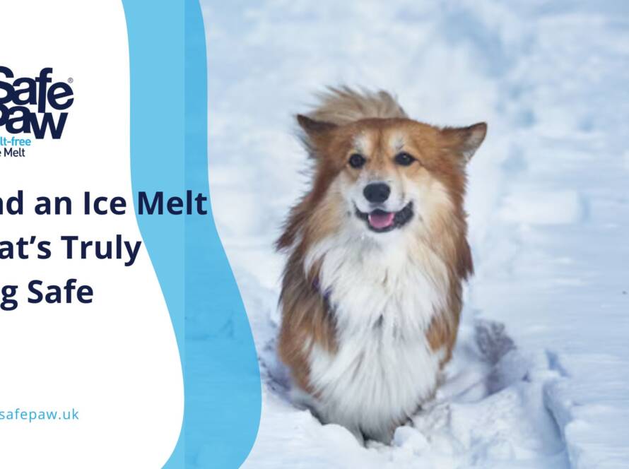 How to Find an Ice Melt That Truly Dog Safe (And What to Avoid)