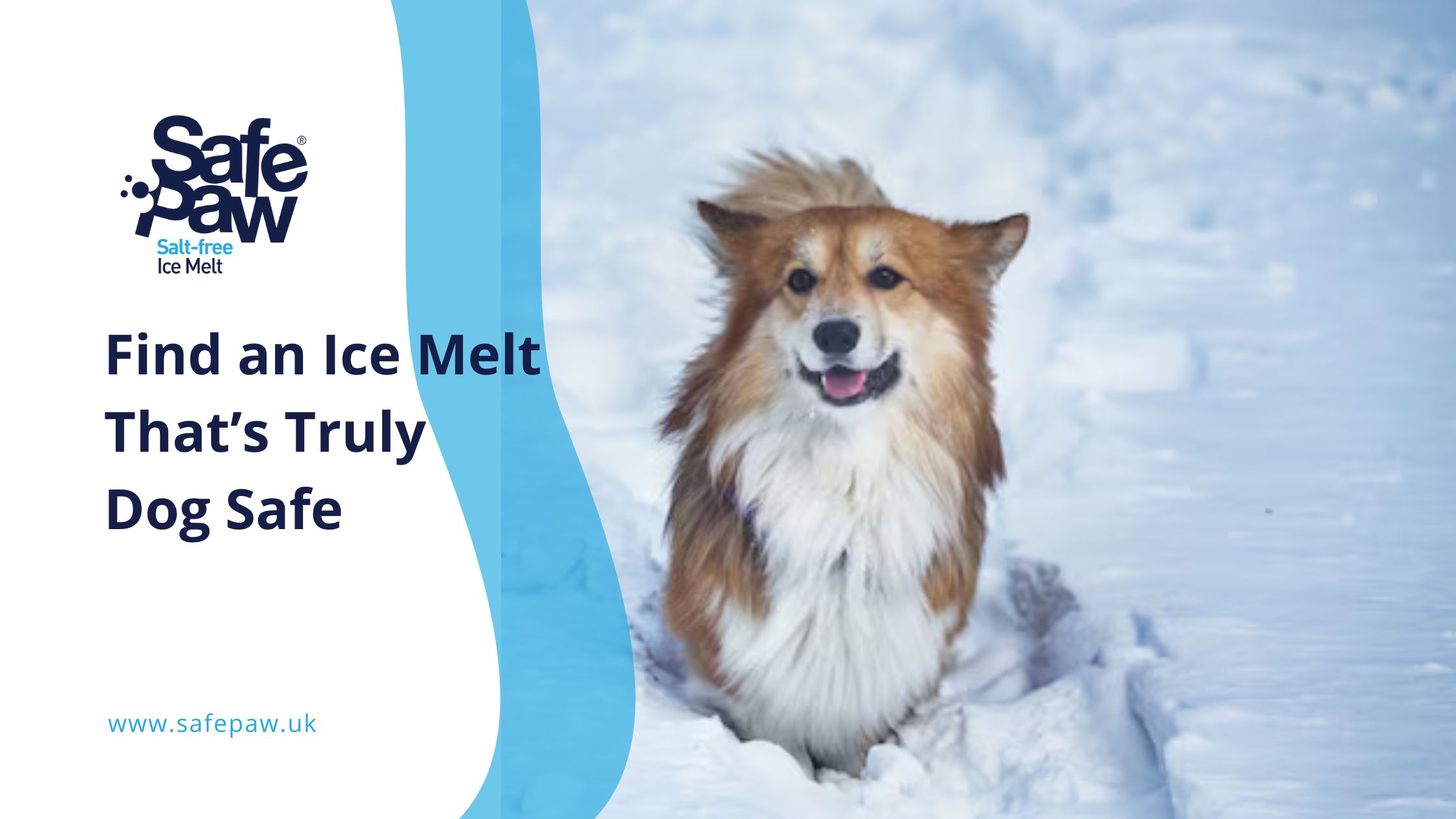 How to Find an Ice Melt That Truly Dog Safe (And What to Avoid)