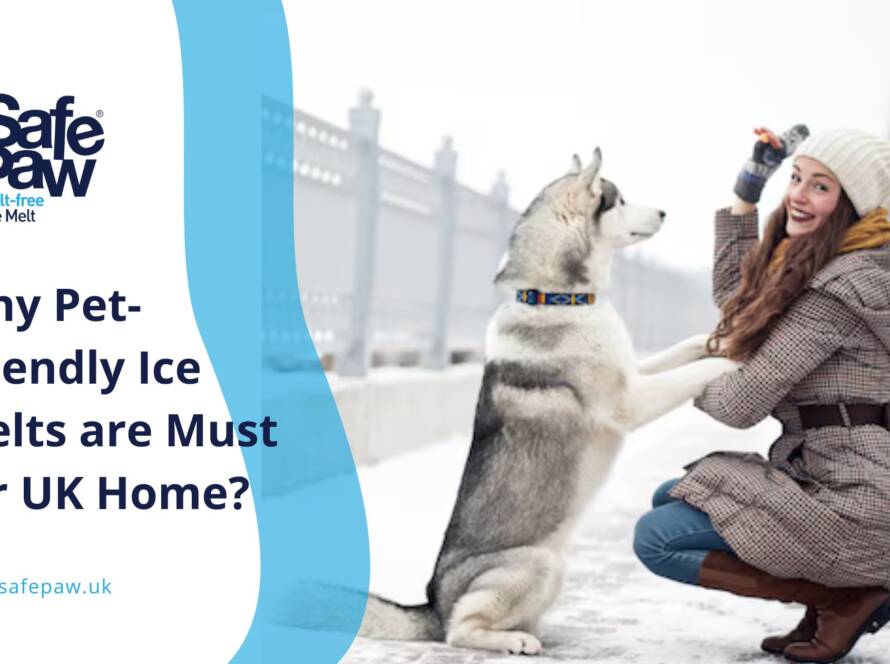 Why Pet Friendly Ice Melts Are a Must for UK Homes with Furry Friends