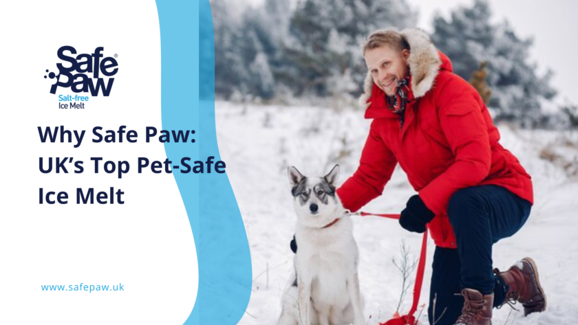 Why Safe Paw Ice Melt Is The Uk’s Top Choice For Pet-Friendly Winter Protection