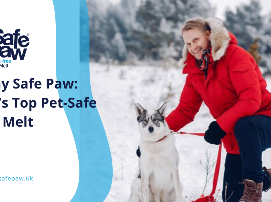 Why Safe Paw Ice Melt Is The Uk’s Top Choice For Pet-Friendly Winter Protection