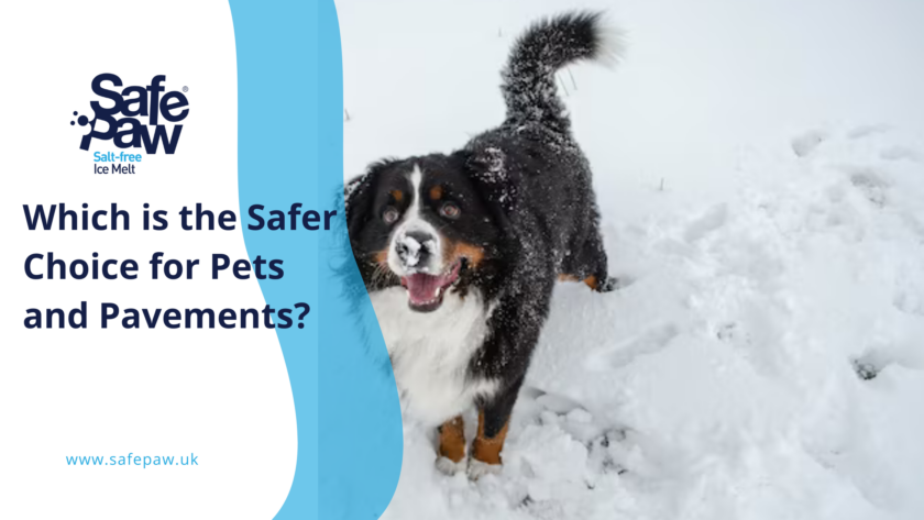 Winter Wizard Ice Melt vs. Safe Paw: Which is the Safer Choice for Pets and Pavements