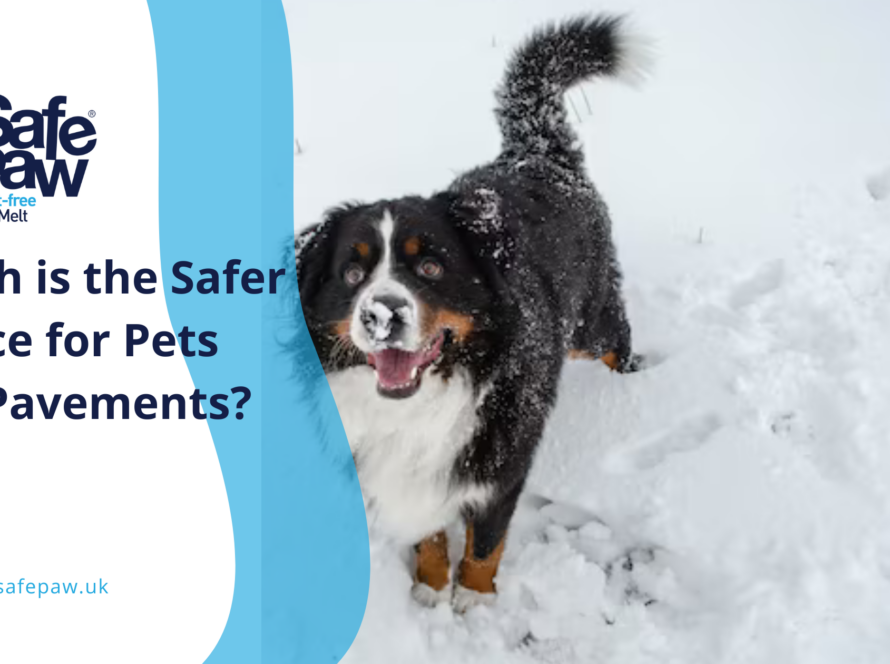 Winter Wizard Ice Melt vs. Safe Paw: Which is the Safer Choice for Pets and Pavements