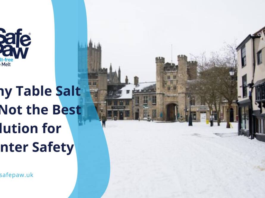 Does Table Salt Melt Ice? Why It’s Not the Best Solution for Winter Safety