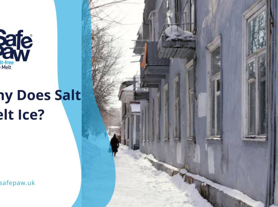 Why Does Salt Melt Ice_ The Science Behind This Popular Winter Tool